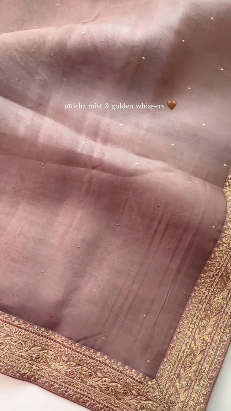 Mocha Mist Embroidered Saree with Golden Zari Border