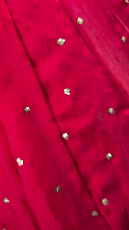 Ruby Red Silver Border Designer Blouse