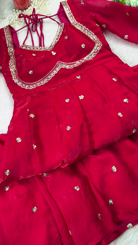 Ruby Red Silver Border Designer Blouse