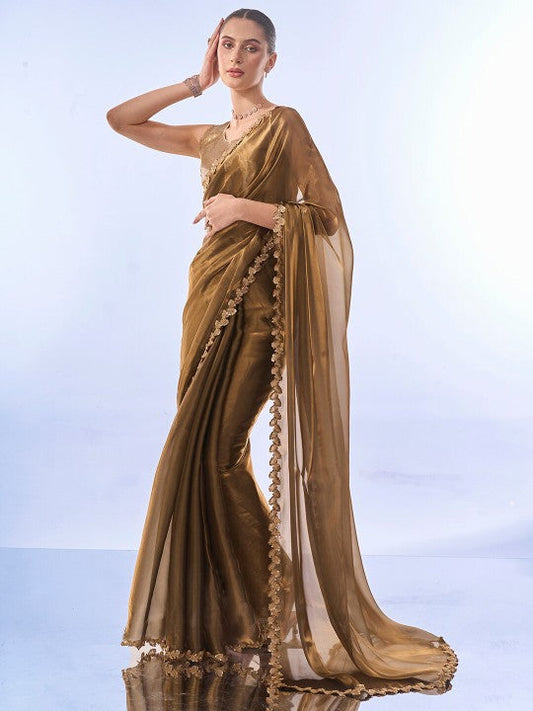 Sequinned Organza Saree
