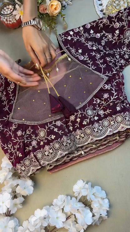 Elegant Deep Plum Velvet & Shimmer Organza Saree Set – A Statement of Regal Sophistication