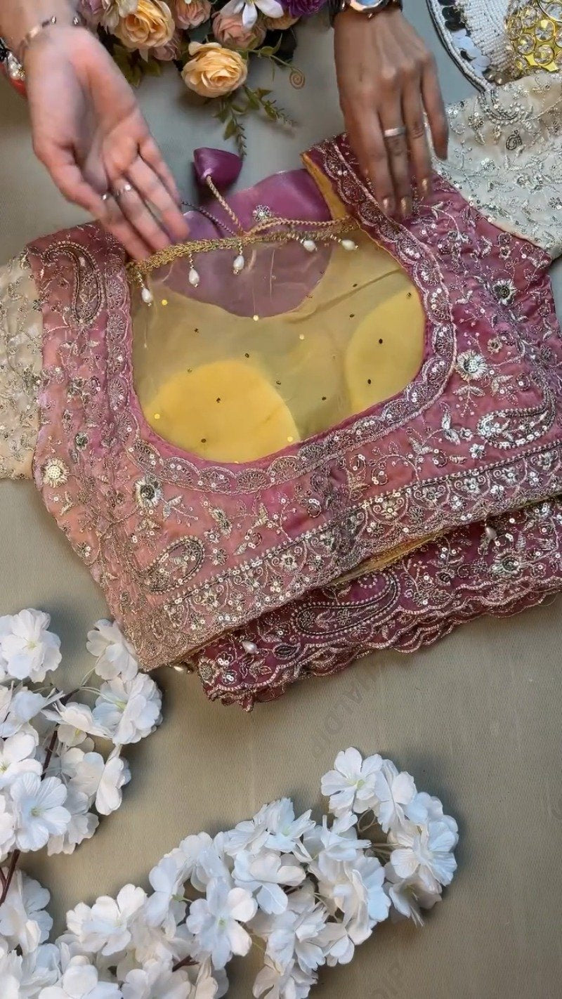 Opulent Paisley Embellished Organza Saree Set – Available in Rose Quartz & Cream