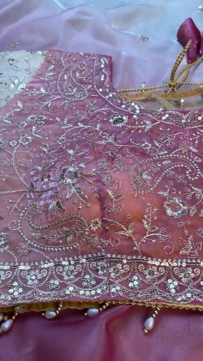 Opulent Paisley Embellished Organza Saree Set – Available in Rose Quartz & Cream
