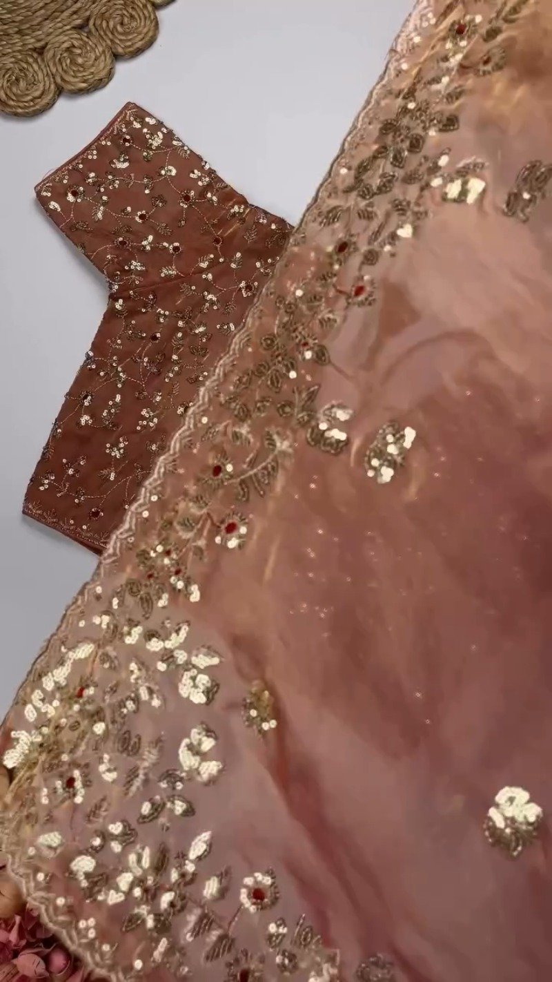Elegant Embellished Chiffon Saree with Sequin-Work Blouse – Available in Ivory & Deep Crimson