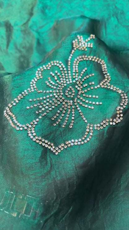 Emerald Radiance Stone-Embellished Organza Saree & Sleeveless Blouse Set
