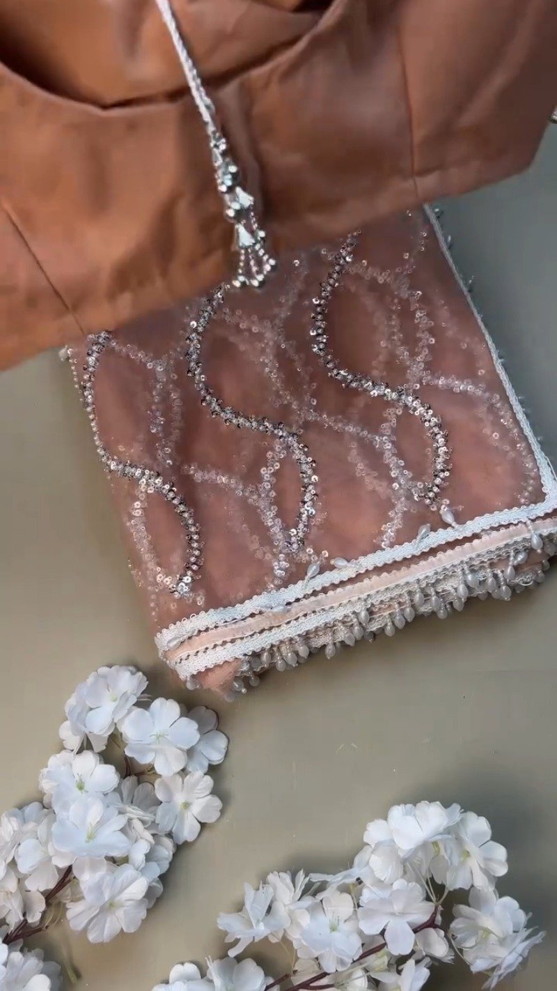 Peach Organza Sequinned Saree with Pearl-Detailed Scallop Border