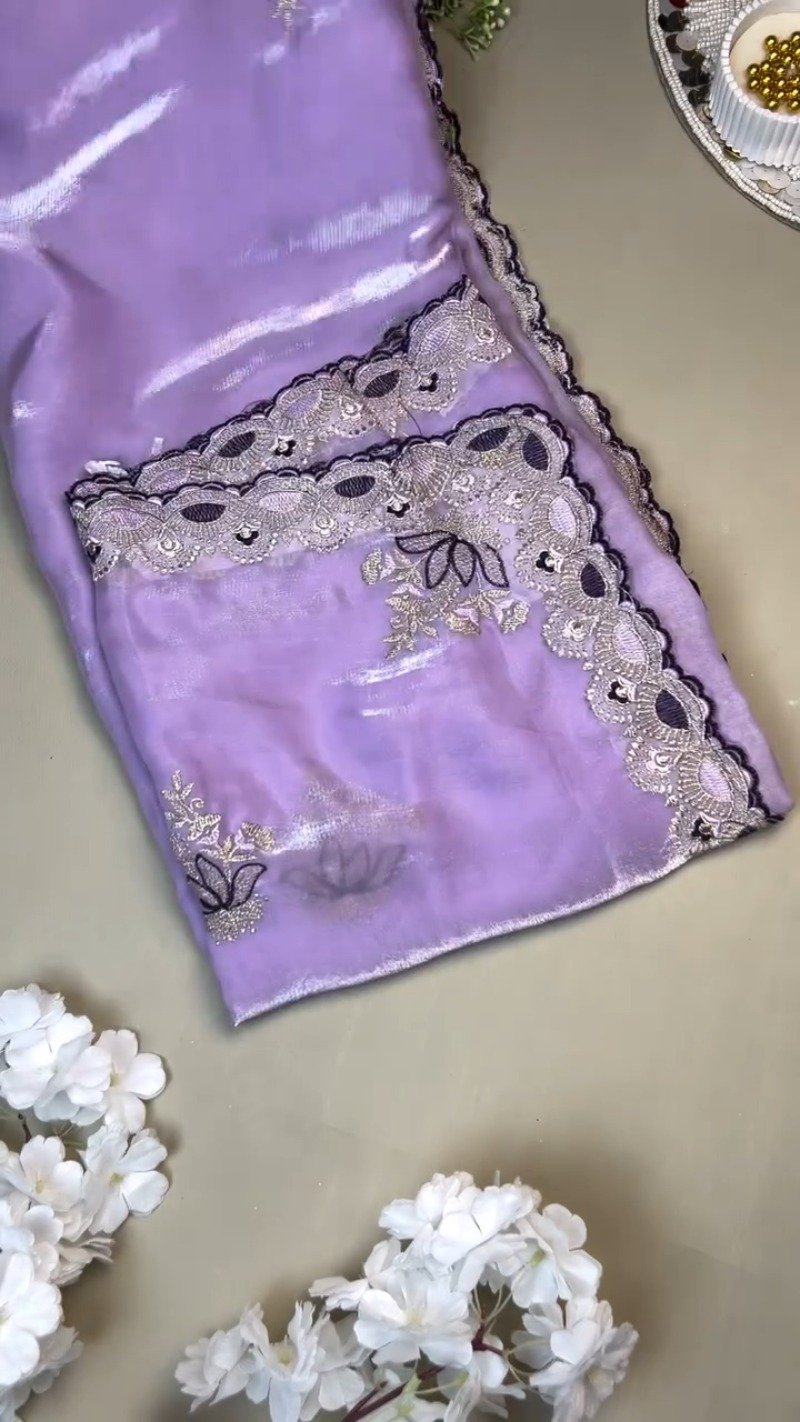 Opulent Velvet Mirror-Work Blouse & Organza Saree Set