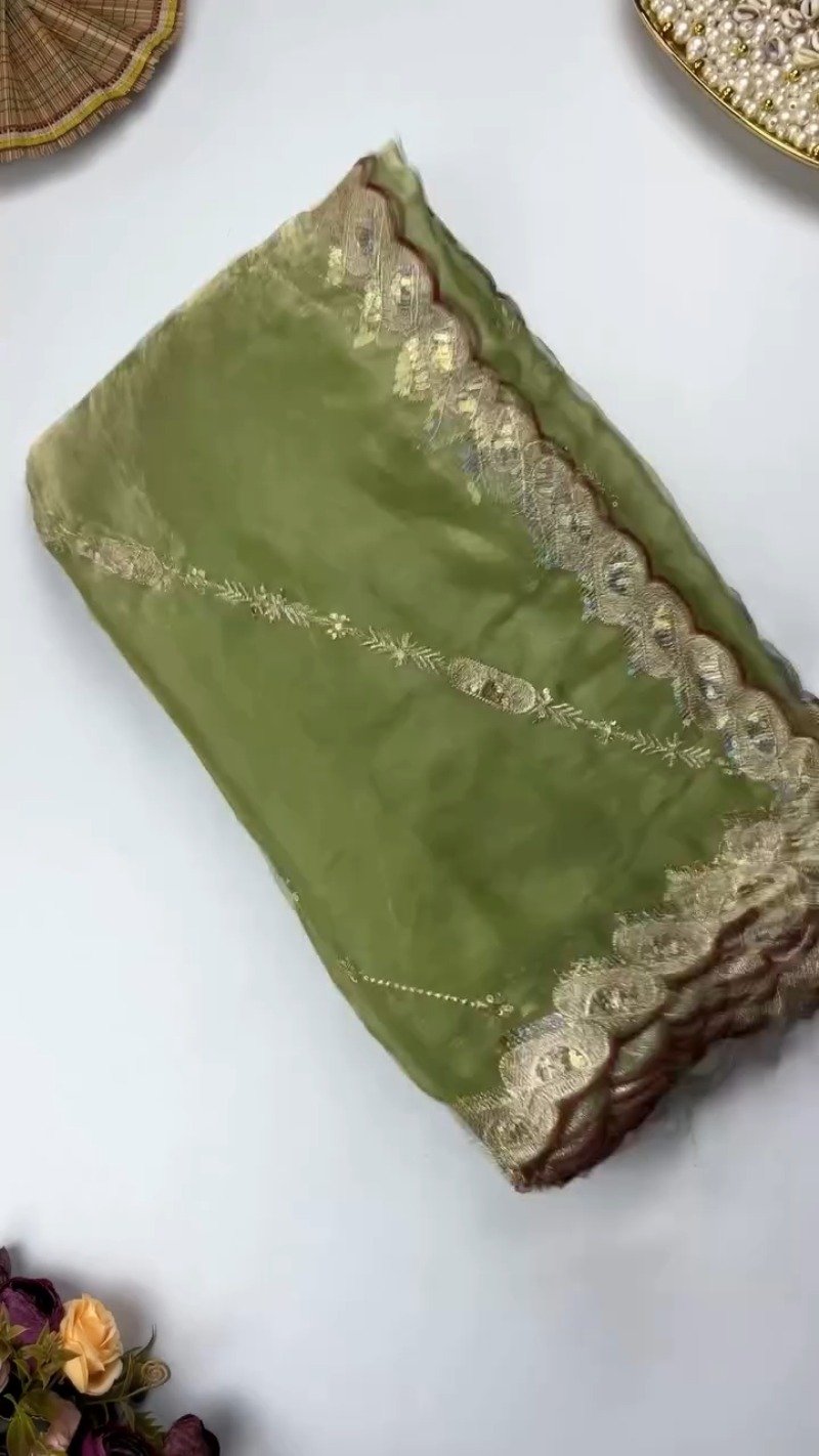 Opulent Scalloped Border Embellished Saree with Embroidered Blouse – Available in Sage Green & Rust Orange