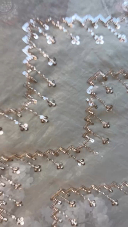 Opulent Champagne Sequin Embroidered Ethnic Ensemble