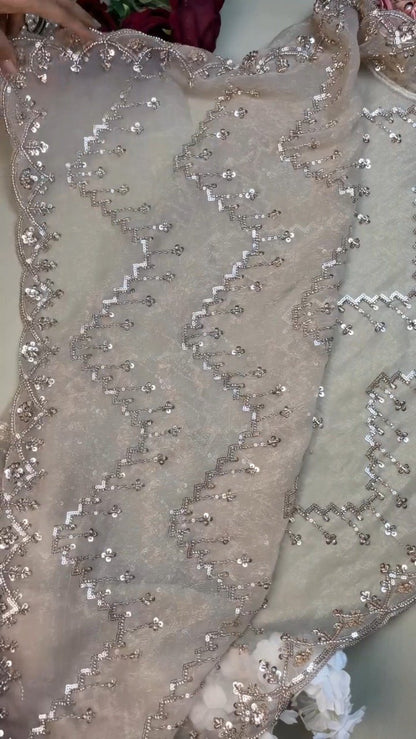 Opulent Champagne Sequin Embroidered Ethnic Ensemble