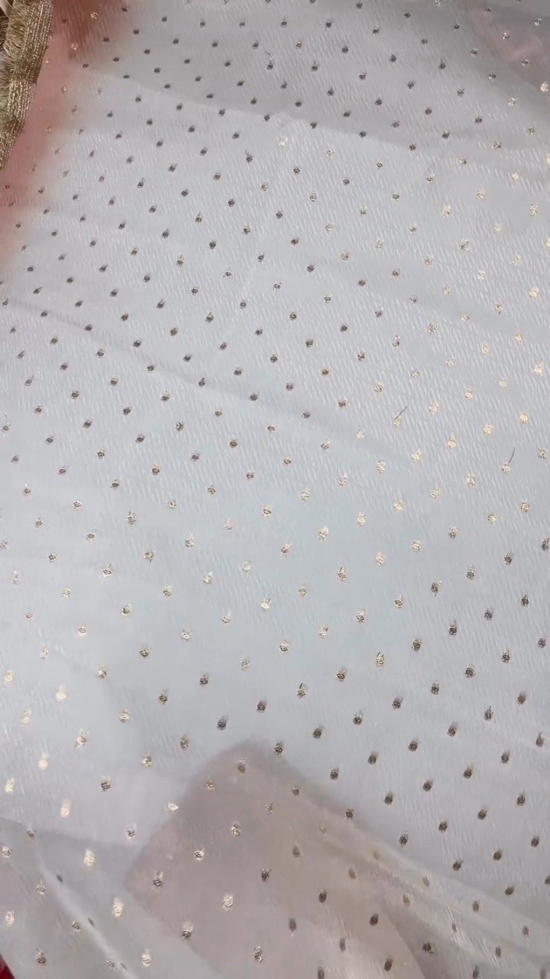 Ethereal Embroidered Ombré Organza Saree – Available in Peach, Lilac, and Mint Green