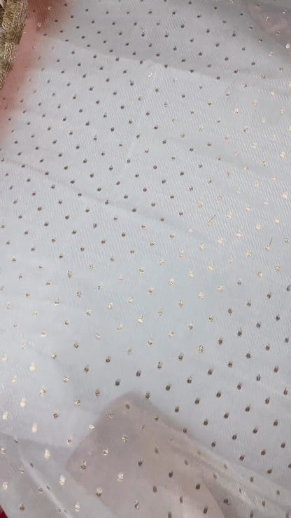 Ethereal Embroidered Ombré Organza Saree – Available in Peach, Lilac, and Mint Green