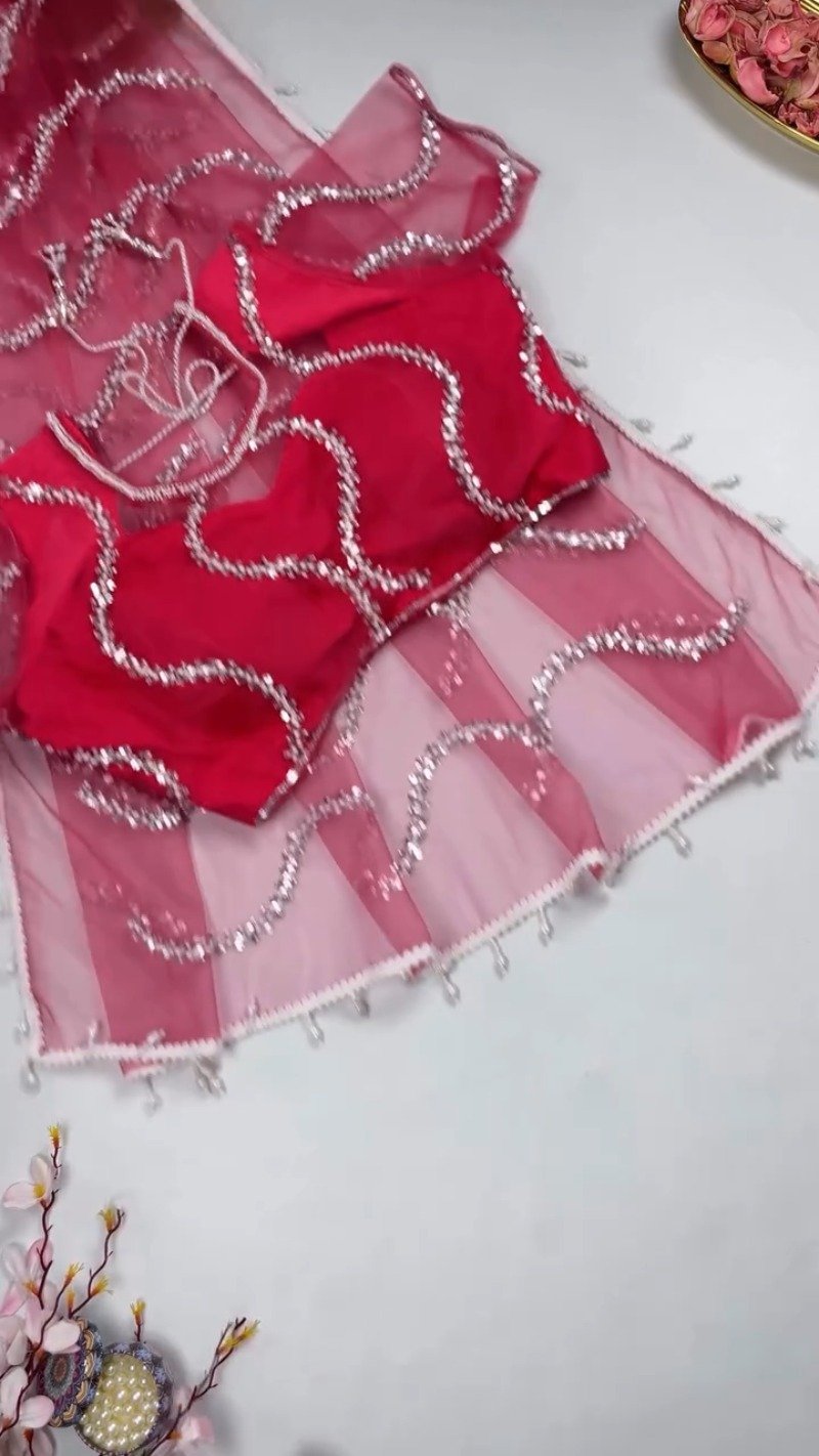 Ethereal Sequinned Organza Saree Set – Available in Serene Sky Blue & Vibrant Fuchsia Pink