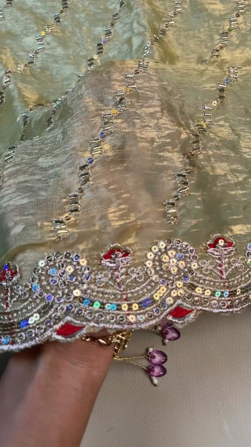 Royal Velvet & Shimmer Organza Ethnic Set with Intricate Sequins Embroidery