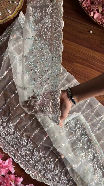Ivory Embellished Net Saree & Padded Blouse Set – Ethereal Elegance Collection