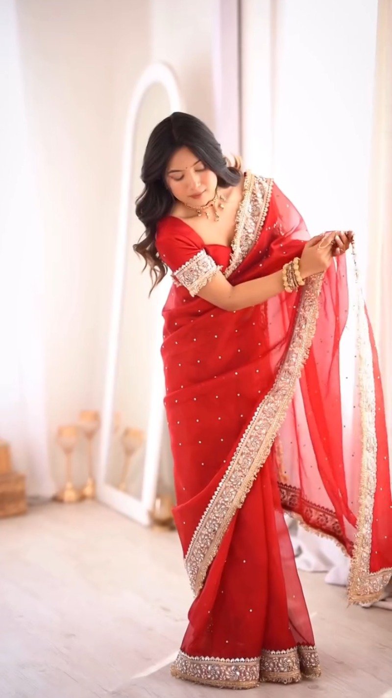 Scarlet Radiance Embellished Net Saree – A Masterpiece of Traditional Elegance