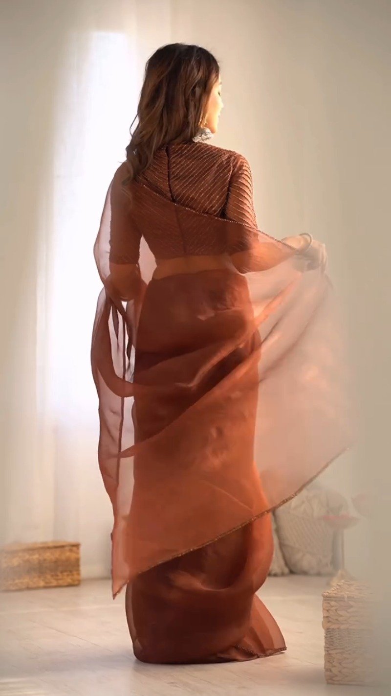 Ethereal Sienna Brown Organza Silk Embroidered Saree