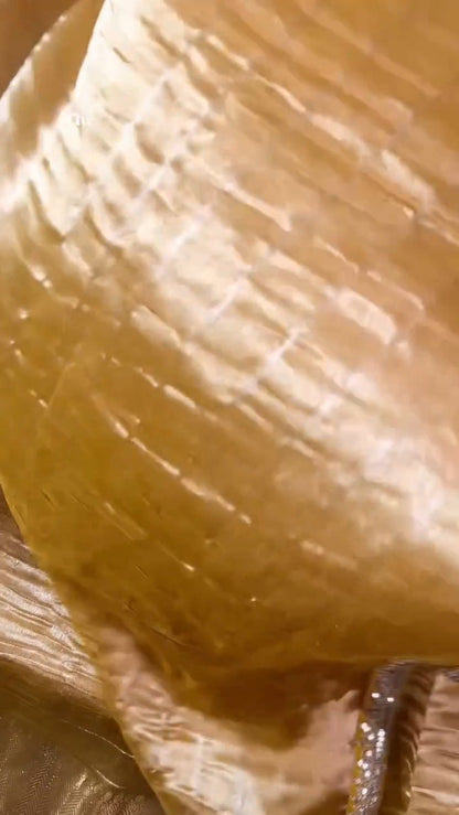 Sun-Kissed Gota Patti Organza Saree – A Masterpiece of Traditional Grace