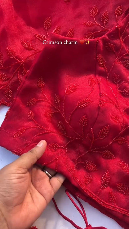 Crimson Charm V-Neck Embroidered Saree Ensemble